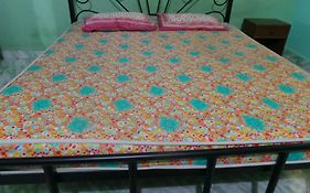 Pereira Guest House
